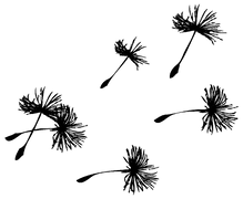 Six black silhouettes of dandelion parachutes of decreasing size arranged haphazardly as if blowing off to the upper right, symbolizing memorials